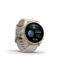 Fenix8_43_HR_SoftGold_Leather_Front-right_0011_fenix8_ski_difficulty_tracking_statute